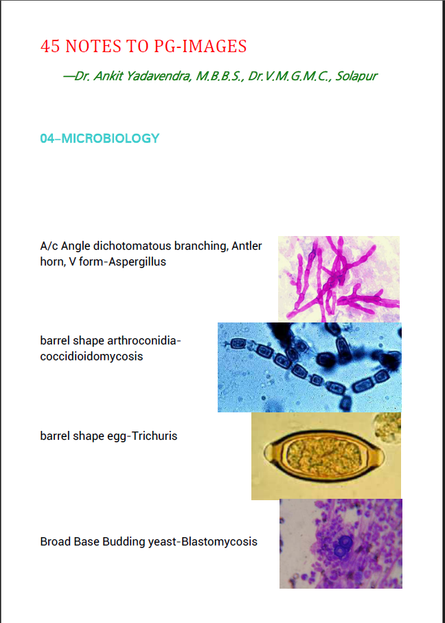 Microbiology and Infectious Diseases